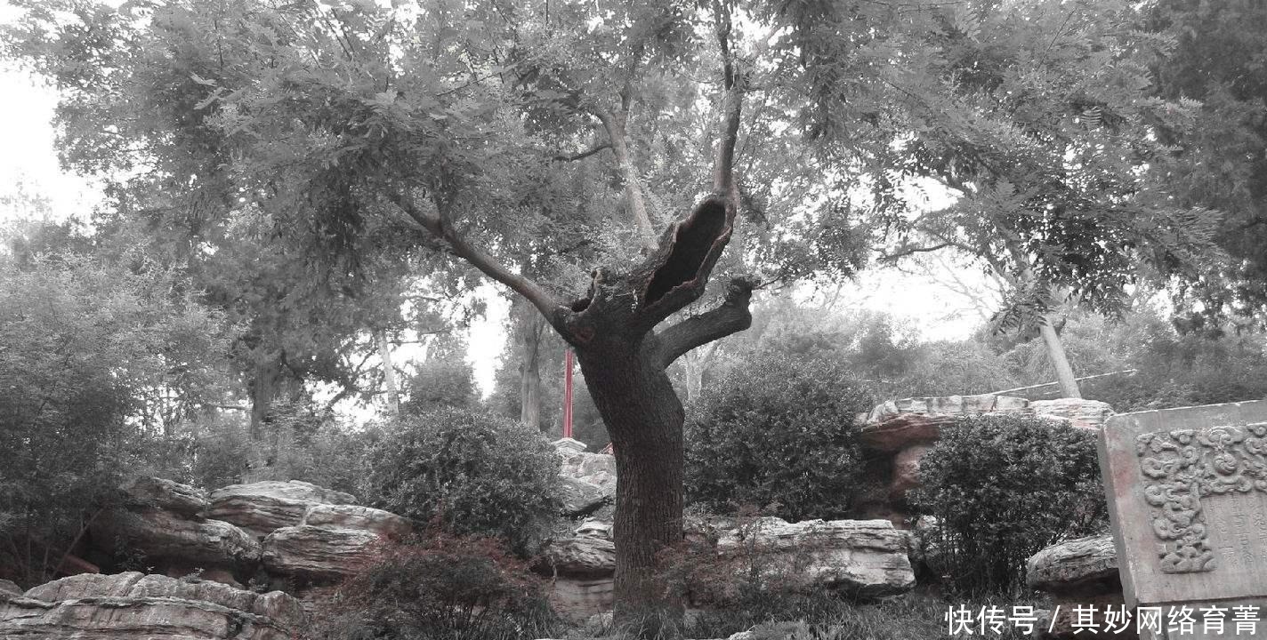 末代皇帝|盘点四个才华横溢的末代皇帝，最后一个你肯定想不到