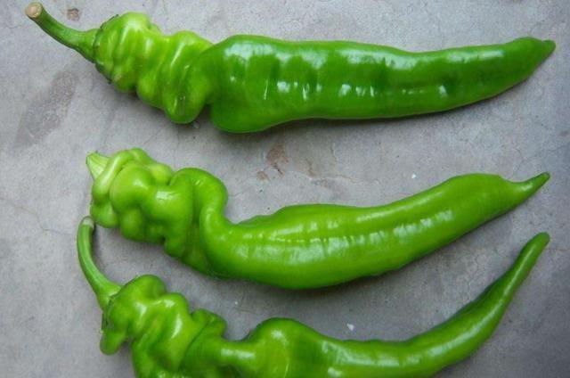  吃亏|这道菜长得像“猪食”，味道却清爽美味，赶紧试试保证你不会吃亏