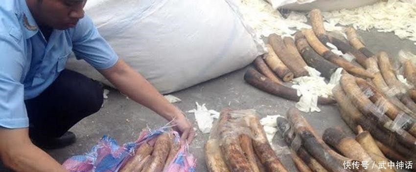 查货|海关查货蛇皮袋, 一把火烧得心都在滴血