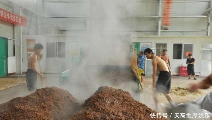 造假|茅台酒:5斤高粱产1斤酒被质疑造假?酒友:酒厂为何没有酒糟?