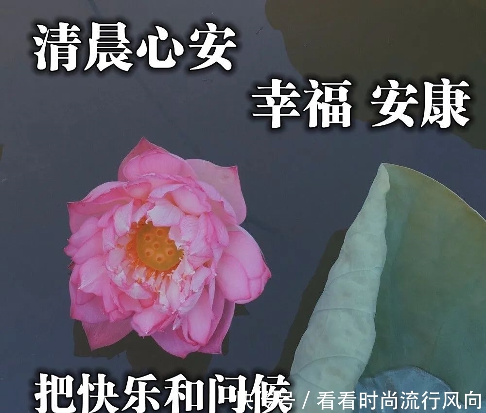 句子|6月14日早上好温馨的祝福图片最新版,周日愿你快乐的问候句子