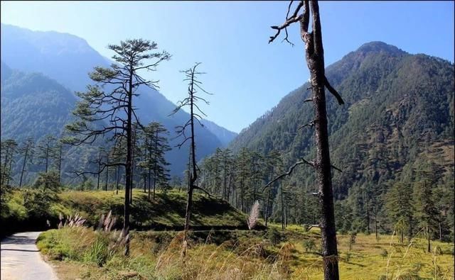  西藏|美丽的藏南地区，有世界雨屋，西藏江南的美誉