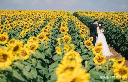 回来|“把彩礼还回来，否则我让我儿子和你离婚”婆婆威胁儿媳被打脸