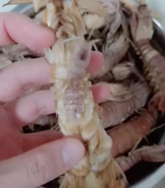 皮皮虾|煮了一锅皮皮虾,发现其中一只蜷成团,打开一看没心情再吃了
