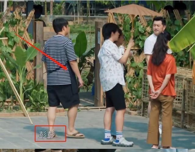 危险|彭昱畅为摘椰子危险爬树,何炅黄磊连忙劝阻,妹妹的表情太真实了