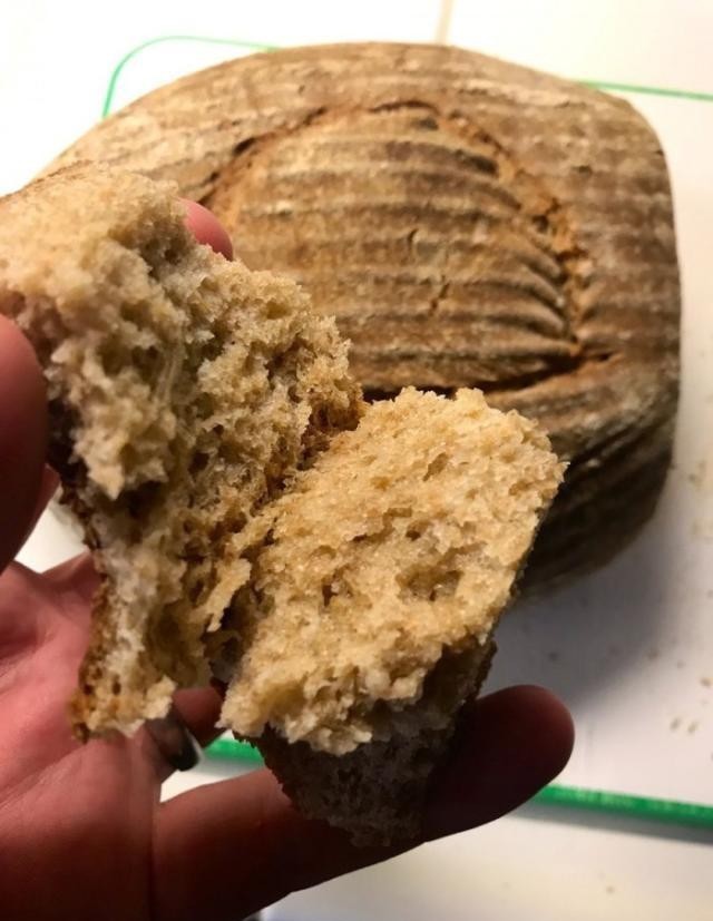 面包|4500年历史的酵母成功复活 重现古埃及风味的面包