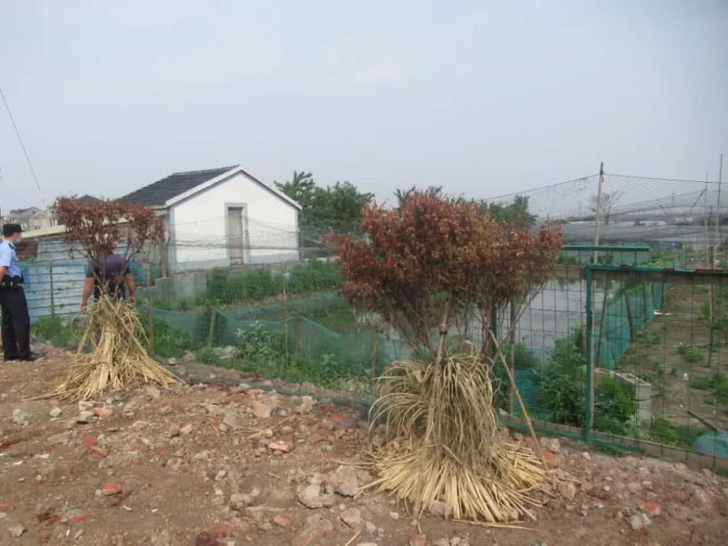 徐大爷|德清这几人因为一锅牛蛙被拘留六日监控曝光……