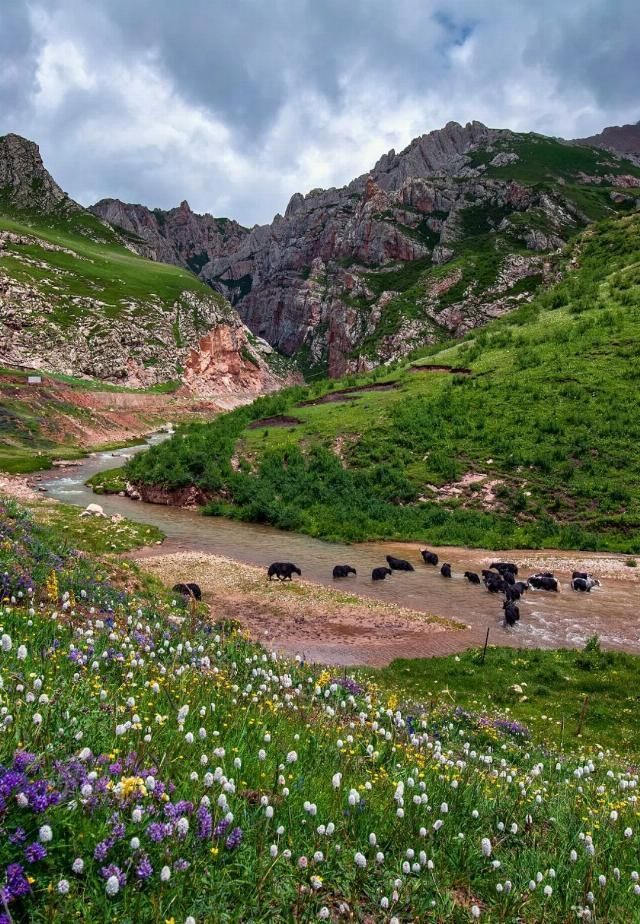 雪山|凝聚冰川、古道、湖泊、雪山、草原和古文明的康巴腹地