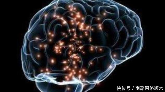  节目当中|参加过《最强大脑》的人如今在从事什么工作了？说出来你可能不信