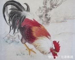 事情|大金鸡:家喜不可外扬,劝你最好看一下!重要的事情只说一遍!