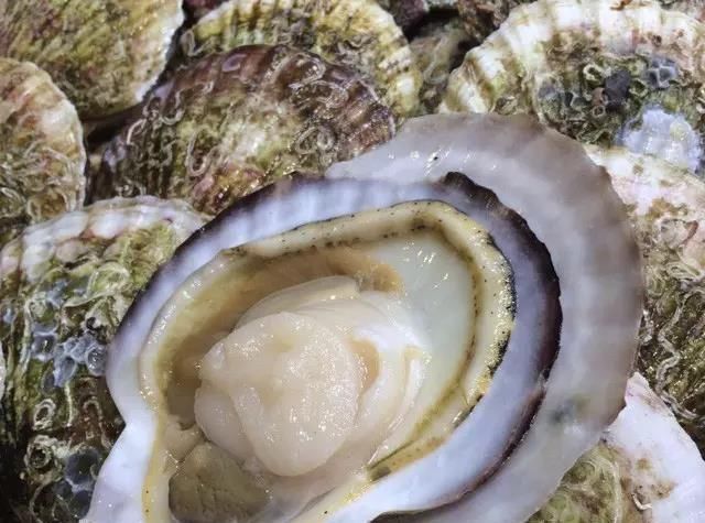 海鲜|世界上65种珍奇海鲜,贝爷都不敢说全部吃过,你吃过几种