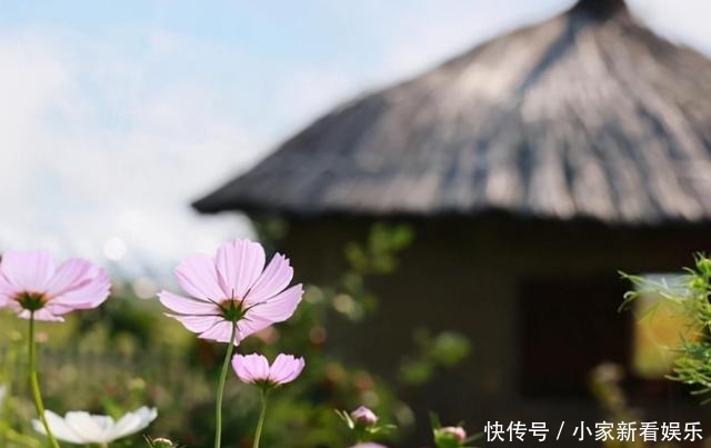  梦幻|《我和我的家乡》取景地走红，梦幻田园美景，文艺青年拍照圣地