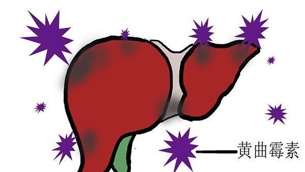 喝酒|伤肝的习惯,需趁早戒掉,或会带来不可逆转的肝损伤