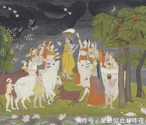 到底|印度,到底让不让吃牛肉?|地球知识局