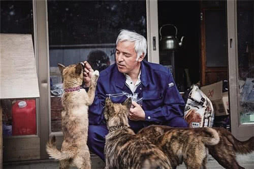  照顾|他不顾家人阻拦，进入福岛核辐射区照顾变异动物6年，如今怎样了