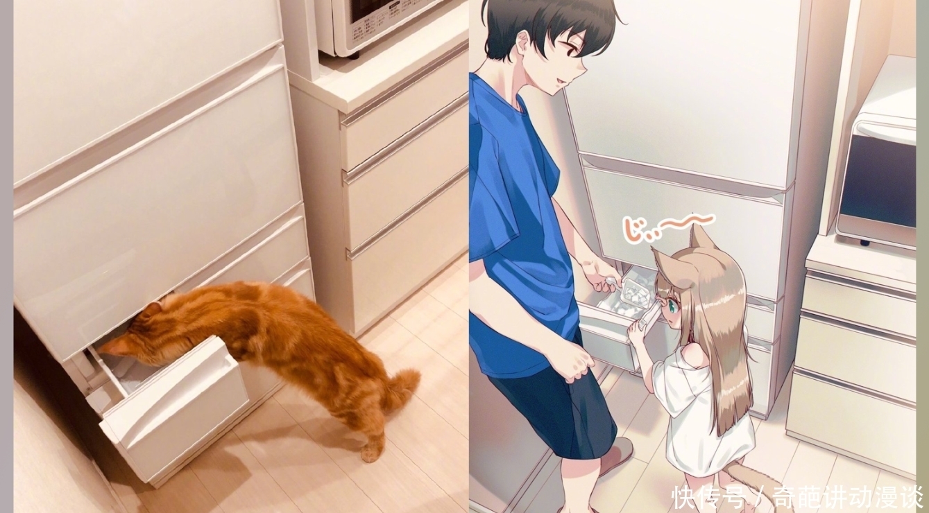 猫咪|想让猫咪变成人?变是不可能的,但画师可以将其画出来!