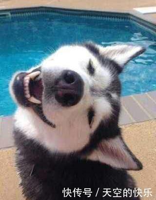 奔驰|东海龙王三太子又换了辆奔驰