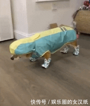  姑娘|GIF搞笑趣图: 日本最清纯的姑娘, 请问你看到她对她还有仇恨吗?