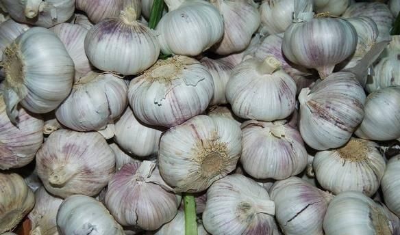 发芽|这4种“大蒜”不要买,买了也不要吃,赶快扔掉,看看你家有吗