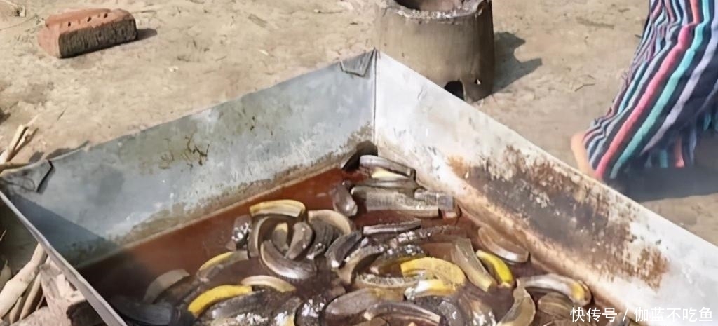 孤陋寡闻|印度人称为“美食”,中国丢进垃圾桶,网友:是我们孤陋寡闻