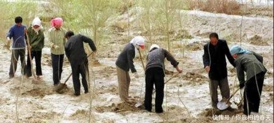 治理|我国养150只“猛兽”来治理沙漠，结果怎么样？网友：佩服发明家
