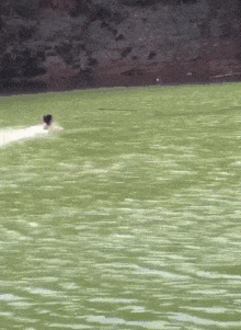 女神|搞笑GIF:美女,怎么可以这样,你可是我心中的女神啊