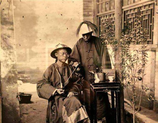 方仁实家|一棵香椿树，三条人命案，县令慧眼辨凶，不肖子孙被斩首示众