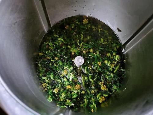 清新|春天的野菜是大自然的馈赠,一款鼠曲草青团,感受清新的美好