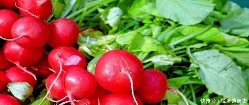 食材|吃可爱多长大的樱桃萝卜，小仙女们必备的健康食材哦