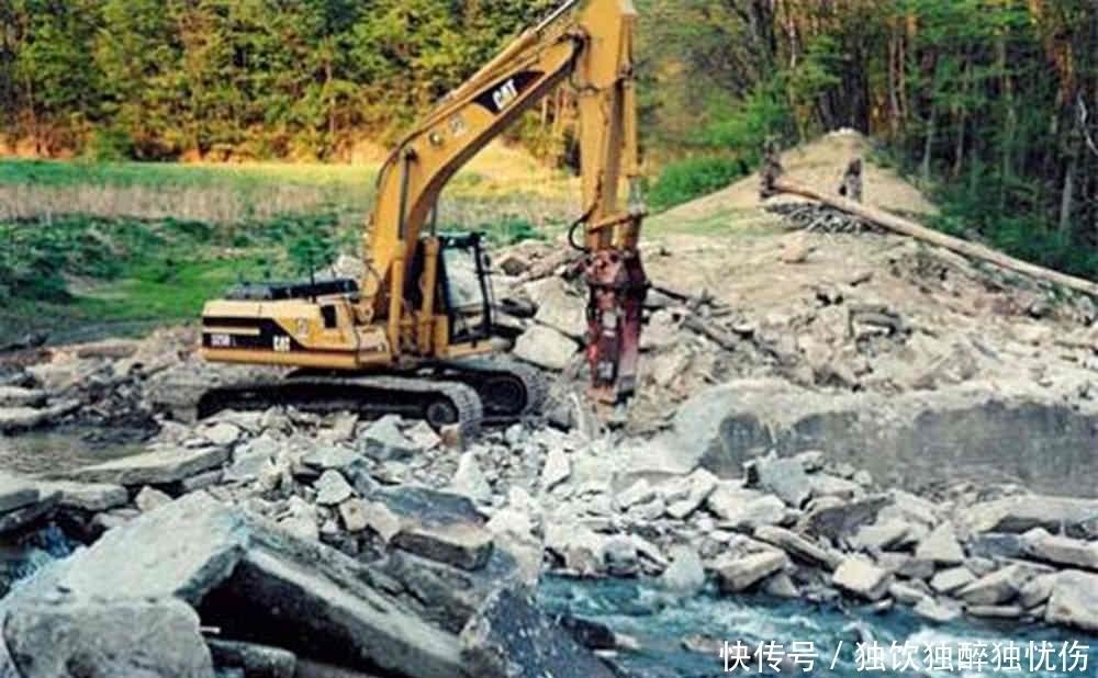 专家|2000多年历史的古墓,爬出一只“乌龟”,周围人的脸色都变了