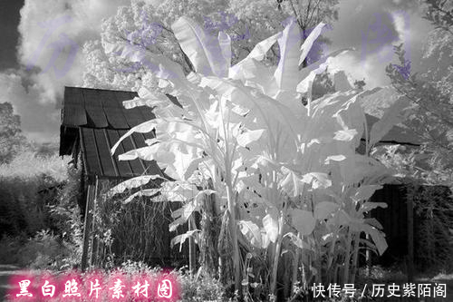 五官端正|清朝妃子为何颜值一般?即使五官端正的,为何看照片也是平淡无奇