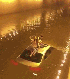 搞笑|搞笑GIF:你这车牌太牛了啊!卖出去比你的车都要贵