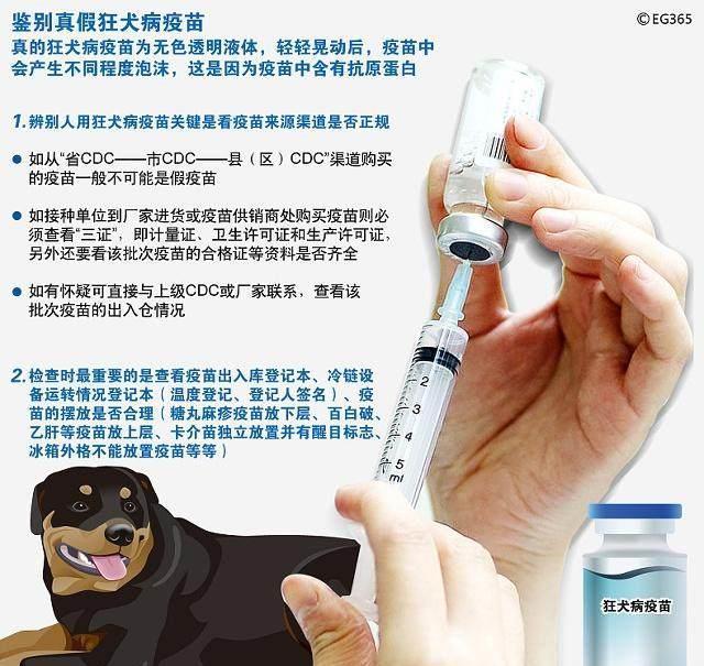  咬伤|怎么办？孩子被宠物咬伤了！