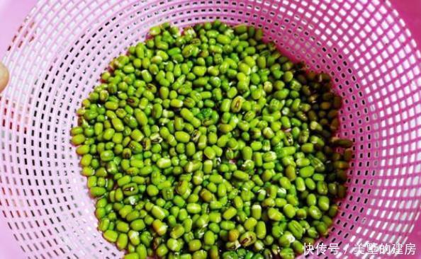 豆芽|今天才知道,原来发豆芽这么简单,以后再也不用花钱买了