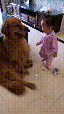 帽子|搞笑GIF趣图:哥们,这帽子不错,最关键是女友送的!