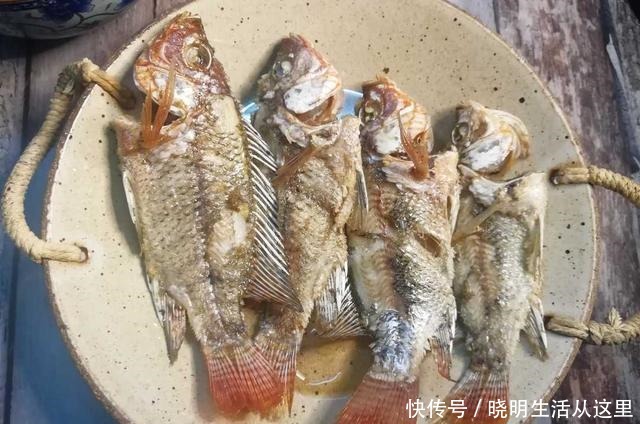 糖醋|土鲫鱼最好吃的方法,糖醋葱烧,连骨酥,开胃健脾