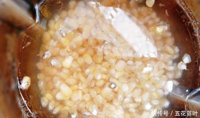 水果|打豆浆时,多加1样水果,1样粗粮,豆浆香味浓郁,入口甘甜丝滑