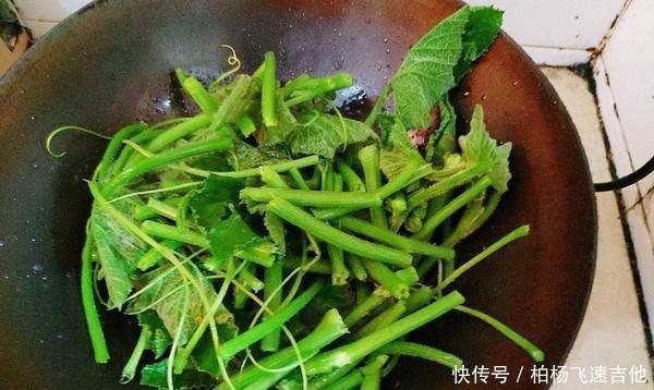 调经|是夏天这道菜是宝贝,用来调经养血,2元一公斤