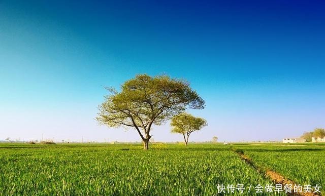 三人|李白的“对影成三人”是名句，余秀华写首诗调侃，网友评：有才华