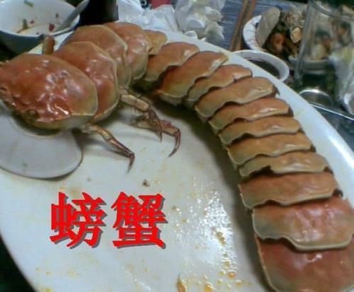 火龙果|吃货无聊的极限,螃蟹VS火龙果,看到饼干被耽误的画手