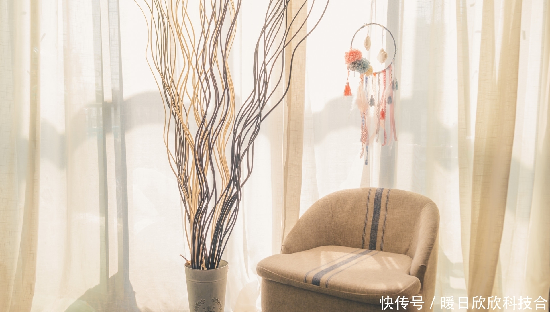 会知道自己|有一种相逢,是劫不是缘