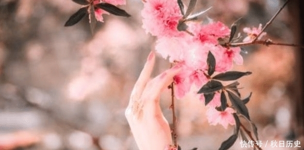 来堕世间|纳兰性德最肉麻的一首词,开篇7个字惊艳世人,堪称夸妻典范