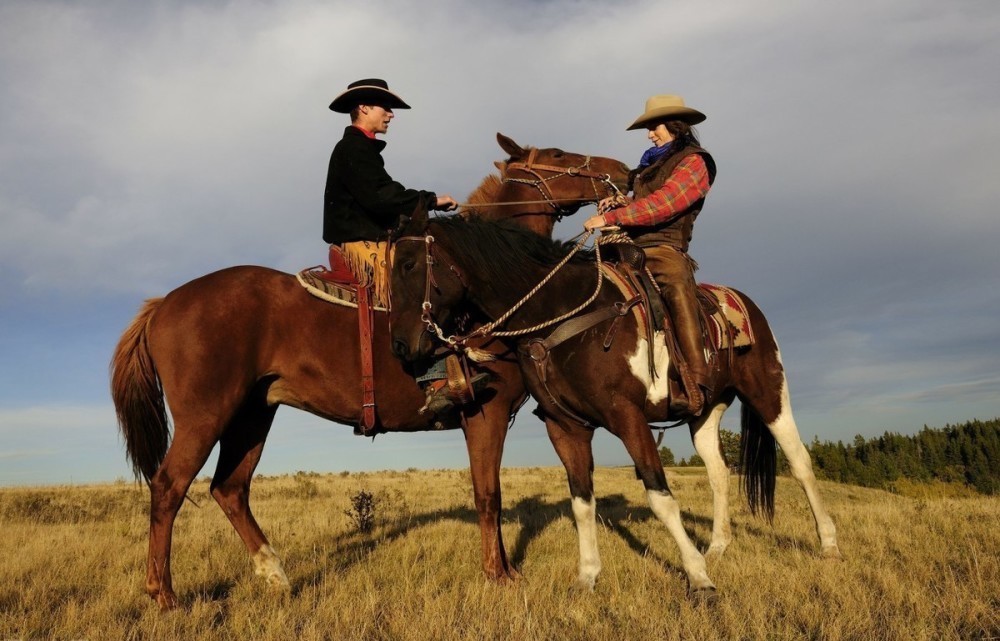 生态环境|马在古代是通行之根本,为何宋朝就是不养马?