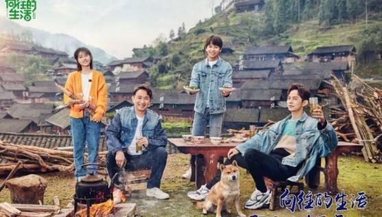 购买|《向往的生活》再陷抄袭风波!自以为手段高明,却被正主发文警告