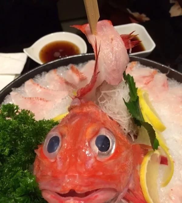 海鲜|世界上65种珍奇海鲜,贝爷都不敢说全部吃过,你吃过几种