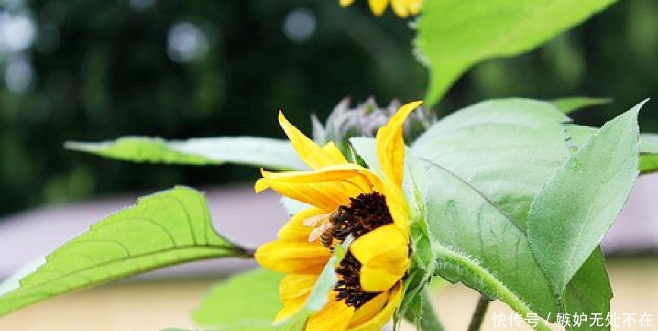 不必|富有哲理的经典句子,句句中肯,句句入心