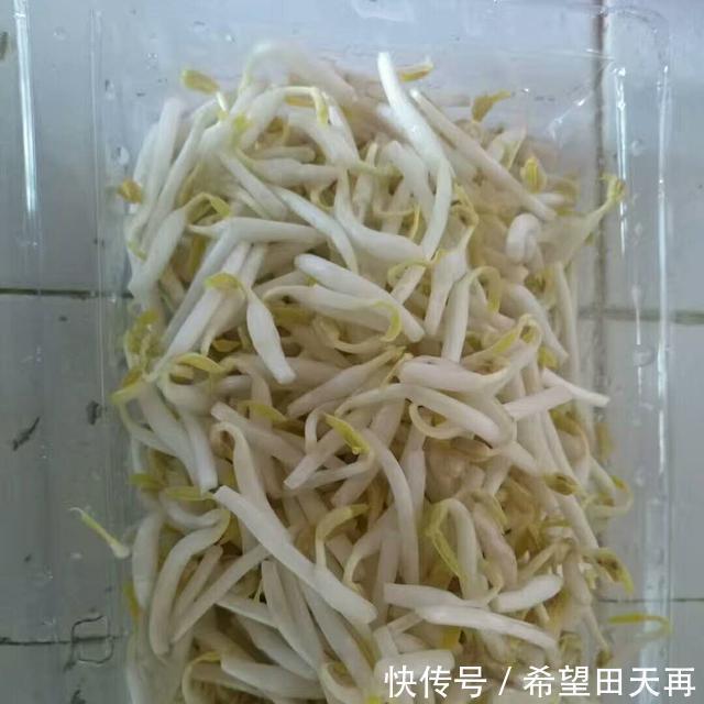 忽略不计|推荐三种马来西亚,至于其他的,可以忽略不计