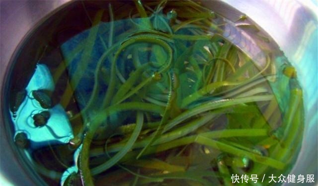 海带丝|凉拌海带丝时,腥味重多加这“1步”,酸辣可口,鲜香十足!