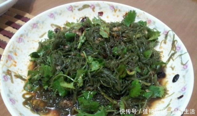 发现|农村小伙去赶海,发现一种“海中蔬菜”,形似头发你有没有吃过