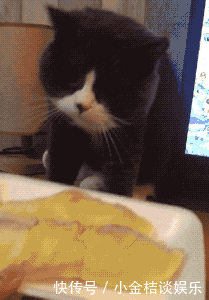 女子|“女子手臂被纹身覆盖满,你能接受女朋友纹身吗? ”哈哈哈哈